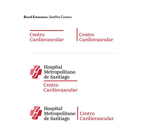 New branding book. Hospital Metropolitano de Santiago on SVA Portfolios