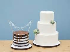 Simple Succulent Cake And Naked Chocolate And Vanilla Groom S Cake By Cassidy Budge Cake Design