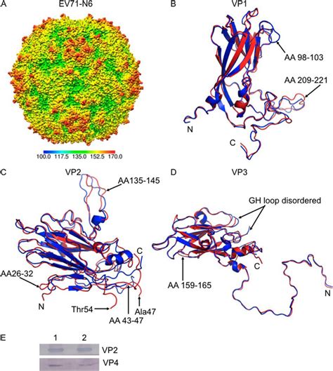 Crystal Structures Of Enterovirus Ev Recombinant Virus Particles