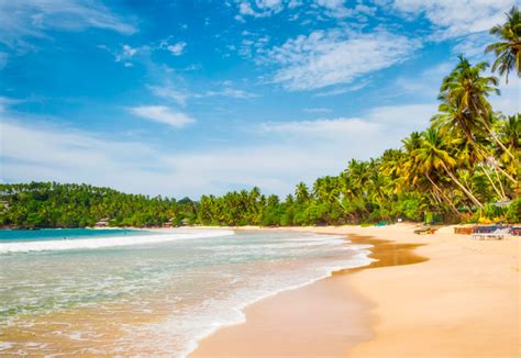 11 Playas De Sri Lanka Que Debes Conocer Viajes Sri Lanka