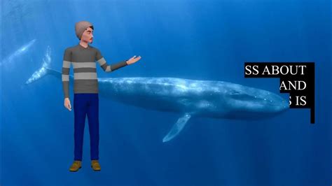 Revealing The Dark Side Of The Blue Whale Challenge The Blue Whale Challenge Unmasked Youtube