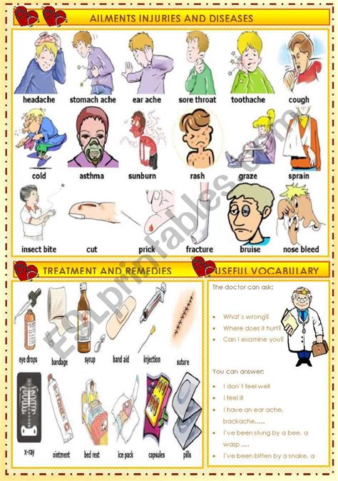 Injuries And Illnesses Vocabulary Illnesses Symptoms Esl Worksheet