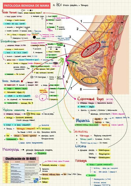 Patología Benigna de Mama Diego Flores uDocz