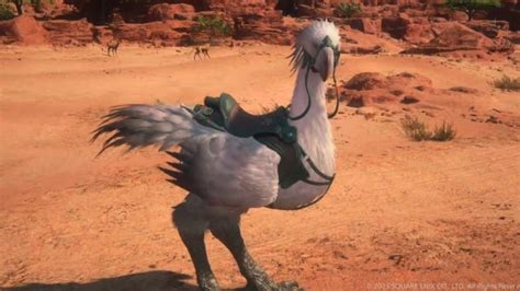 Final Fantasy 16 Mount Guide How To Get The Chocobo Whiteheart I