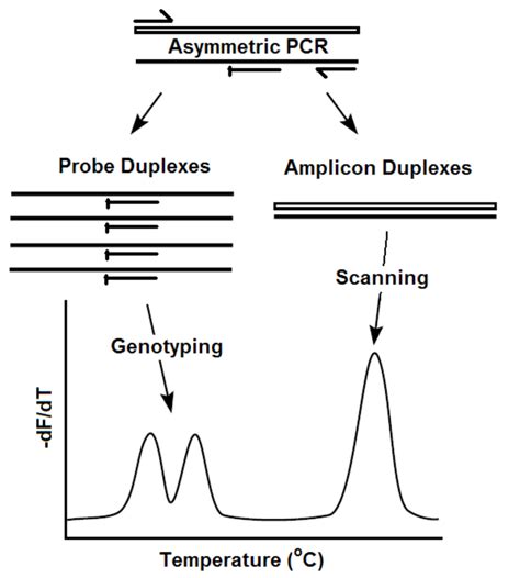 Pcr Troubleshooting And Optimization Figure