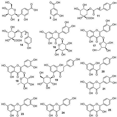 Molecules Free Full Text Identification Of Phenolic Compounds From