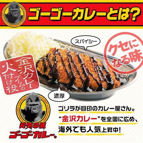 ゴーゴーカレーファイヤー レトルト 138g｜通販 Au Wowma（ワウマ）