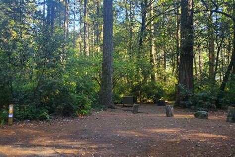 Jedediah Smith Campground - Jedediah Smith Redwoods State Park | Park Ranger John