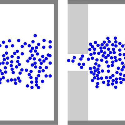 Microscopic Crowd Simulation With Two Different Emergent Behaviours