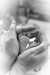 hands  feet synonyms similar words  hands  feet