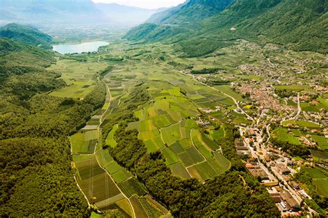 Weissburgunder Unser Kellerei Kaltern I Meraner Weinhaus