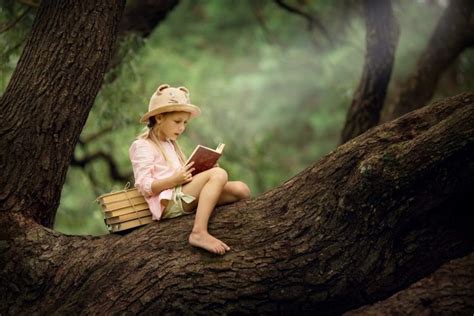 Por qué comprar libros usados Descubre sus beneficios Boronia news