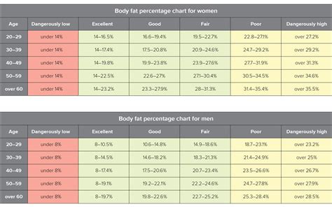 Vetpercentage Berekenen Tabel Formule En Hoe Je Het Kunt Meten