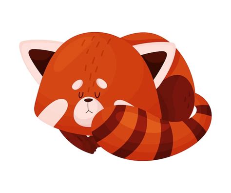 Premium Vector Cute Cartoon Red Panda Sleeping Curling Up In Ball