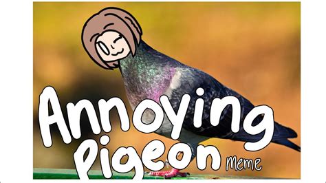 Annoying Pigeon Meme Youtube