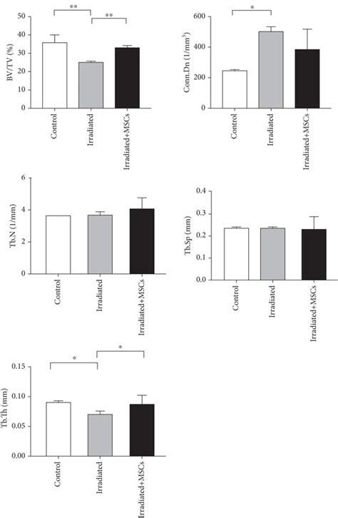 Hucb Msc Treatment Can Rescue The Effect Of Irradiation On Bone Mass In