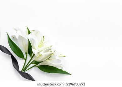 Branch White Lilies Flowers Mourning Funeral Stock Photo 2232031579 ...