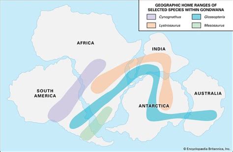 Plate Tectonics Development Of Tectonic Theory