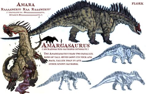 Amargasaurus by TheFlork on DeviantArt