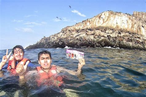 Palomino Islands Swim With Sea Lions Lima With Transfers Included 2022