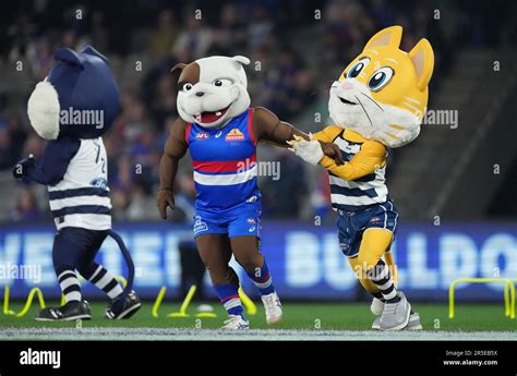 Melbourne Australia 03rd June 2023 Mascots Race Before The Afl