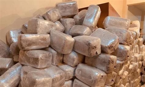 Aseguran más de 4 toneladas de marihuana en Tijuana