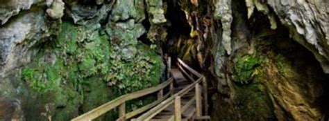 The Kawiti Tour Follows A Wooden Boardwalk Through A Limestone Cave