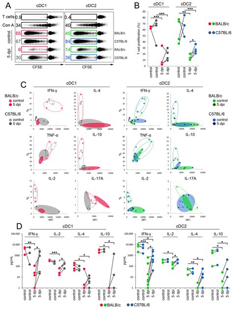 Cells Free Full Text Differential Activation Of Splenic Cdc1 And