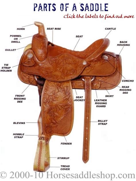 Interactive Western Saddle Parts Diagram From Horse Saddle Shop