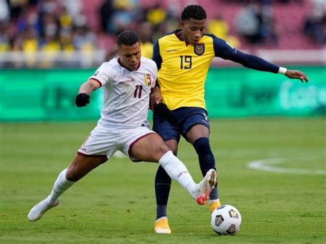 Fútbol libre por celular: cómo ver en vivo Venezuela vs Ecuador