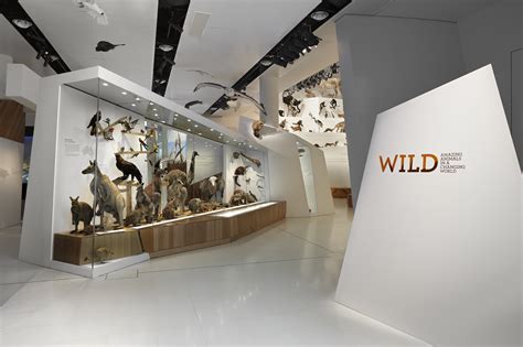 Virtual tours - Melbourne Museum