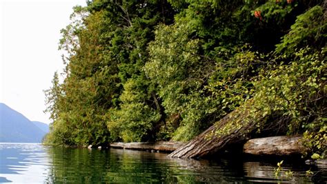 Kayaking Lake Crescent – Tales of a vanlife couple