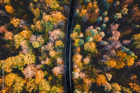 Wald Herbst Strasse Von Oben Drohnenaufnahme Luftbild Draufsicht