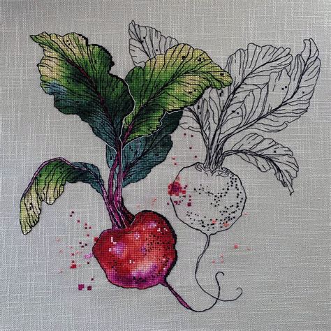 Beet Cross Stitch Kitchen Pattern Pdf Botanic Cross Stitch Vegetable