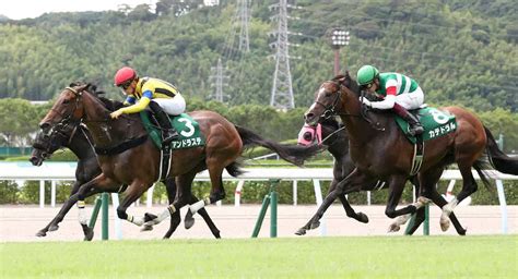 ＜小倉11r中京記念＞快勝したアンドラステ（左手前）と2着のカテドラル＝右（撮影・中村 達也） ― スポニチ Sponichi Annex ギャンブル