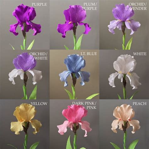 Paper Iris Origami