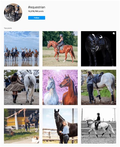 121 Best Equestrian Hashtags In 2021 📈 Copy And Paste