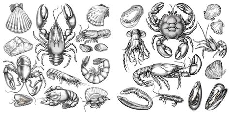 Premium Vector Hand Drawn Seafood Hand Drawn Crab Shrimp And Octopus