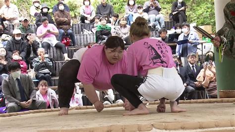 まこデラックス山4連覇なるか 福島町で女相撲 Nhk北海道