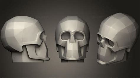 Anatomy Of Skeletons And Skulls Planes Of The Skull Antm 0941 3d Stl Model For Cnc