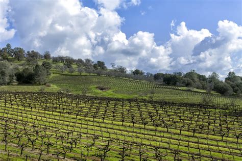 Sierra Foothills Total Wine And More
