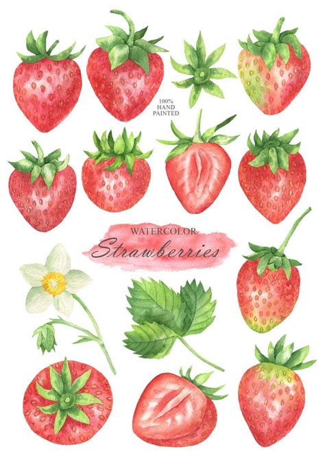 Strawberry Watercolor Clipart Berry Clip Art Summer Etsy Strawberry Watercolor Strawberry