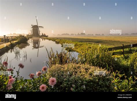 Typical Dutch Landscape With Windmills In The Background Stock Photo