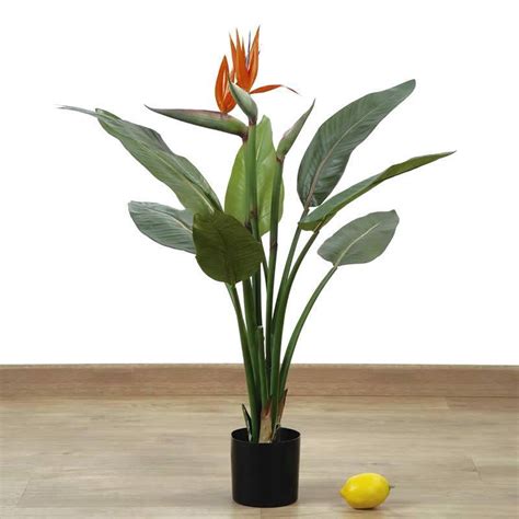 Planta Artificial Strelitzia Ave Del Paraiso Artificial Oasis Decor