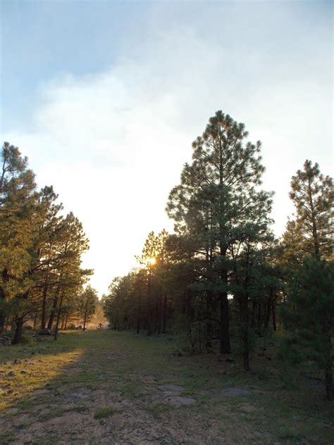 Camping At Blue Ridge Reservoir Near Strawberry Arizona Floradise