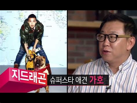 HOT 섹션 TV 스타보다 더 유명한 스타들의 반려동물 가호에서 순심이까지 20141005 YouTube