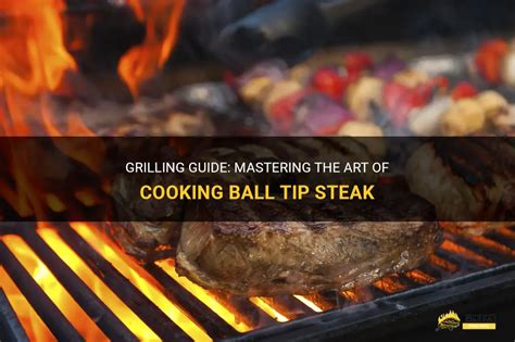 Grilling Guide Mastering The Art Of Cooking Ball Tip Steak Shungrill