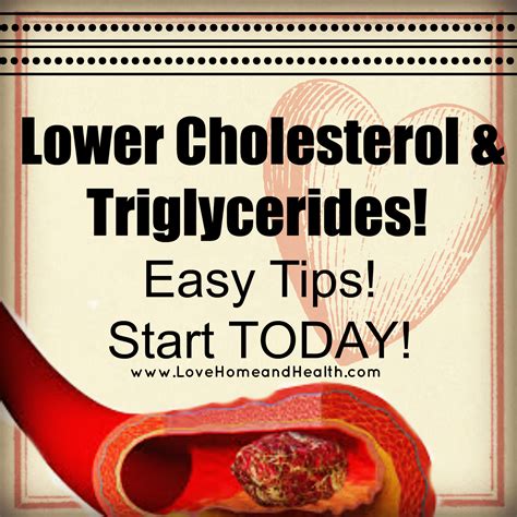 Lower Cholesterol & Triglycerides! - Love, Home and Health