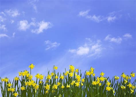 Spring Time Image Beautiful Spring Time 9885