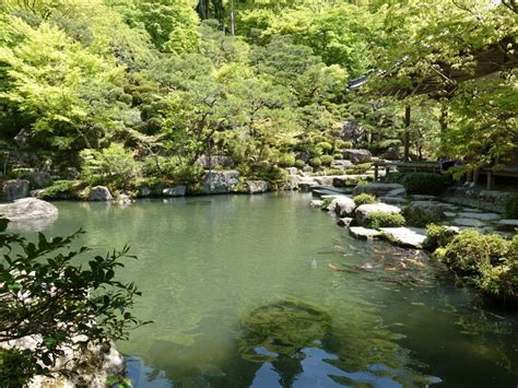 『2023初夏・青紅葉と花を求めて滋賀・京都 その2～湖東三山・金剛輪寺と百済寺、ついでに永源寺』湖東三山・多賀・東近江滋賀県の旅行記